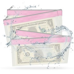 8PCS 8.5×4 Inch Money Bags with Zipper Clear Cash Pouch, Pink