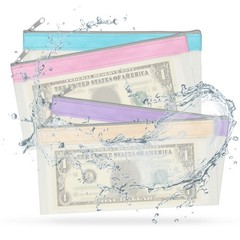 8.5×4 Inch Money Bags with Zipper, 4Pcs Clear Cash Pouch, Blue/Pink/Purple/Beige
