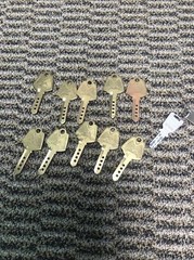 LOT OF 12 DIMPLE KEYS , 10 SAME 2 SAME