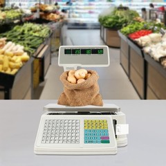 Electronic Label Printing Scale Thermal Printer Price Computing Scale 0.2-30kg