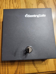 SentrySafe DS-1 Portable Security Safe with Key Lock, 0.04 cu. ft., Black