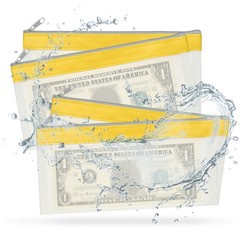 8.5×4 Inch Money Bags with Zipper, 8Pcs Clear Cash Pouch, Yellow