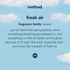 Liquid Laundry Detergent, Fresh Air, 66 Loads per Bottle, Biodegradable Formula,