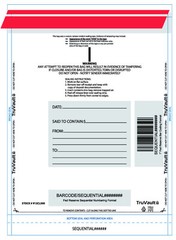 Tamper Evident Plastic Deposit Bags – CLEAR, 100/pack