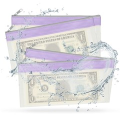 8.5×4 Inch Money Bags with Zipper, 8Pcs Clear Cash Pouch, Purple