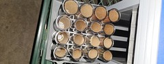 Royal Sovereign FS-4DA Fast Sort Automatic Digital Coin Sorter WORKS GREAT EUC!