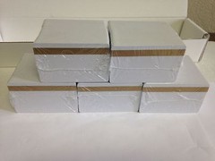 500 UltraCard White CR80 .30 mil – PVC Cards Hi Co 2 Track – Gold Mag Stripe