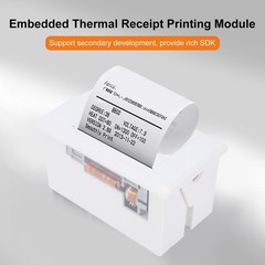Embedded Thermal Receipt Printer Serial Port Microcontroller Secondary Devel NEW